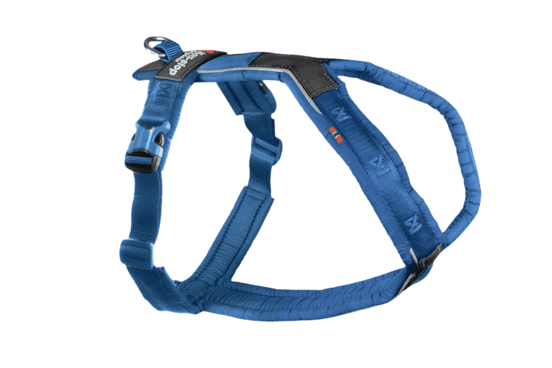 Line harness 5.0 Blue Nr 2