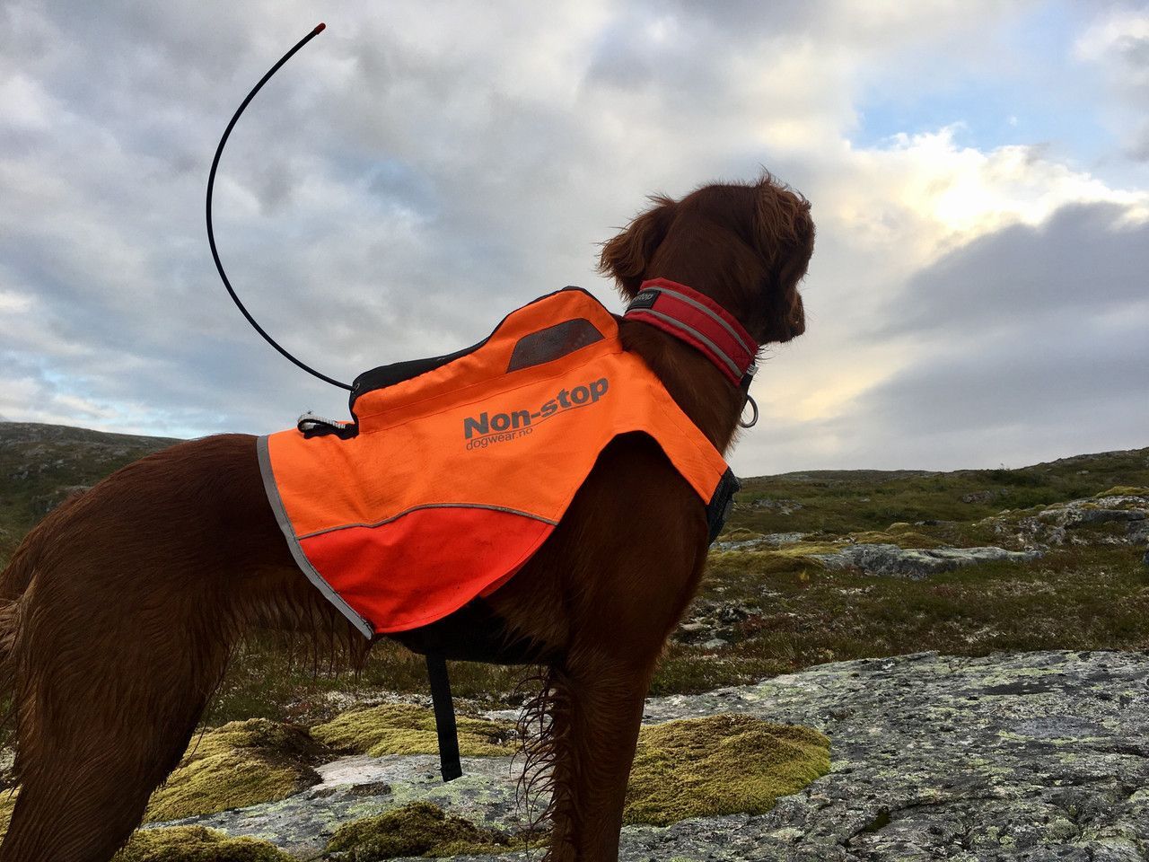 Förstärkt Jaktväst med GPS-ficka - XS