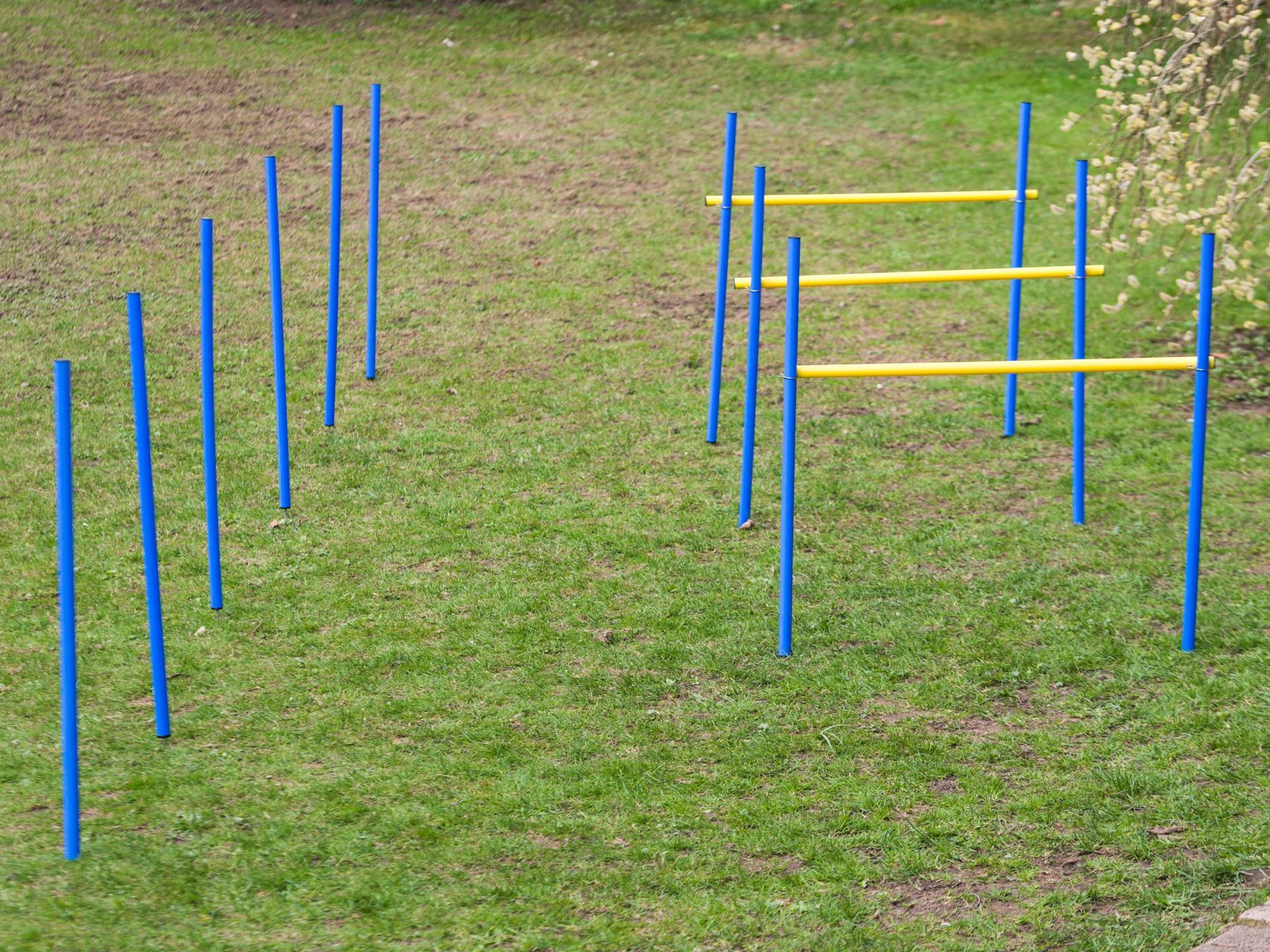Agility Kit – Blå/gul