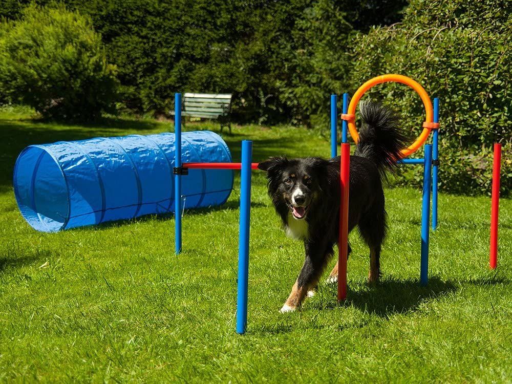 Bruks Agility KIT - 7 delar (K2)