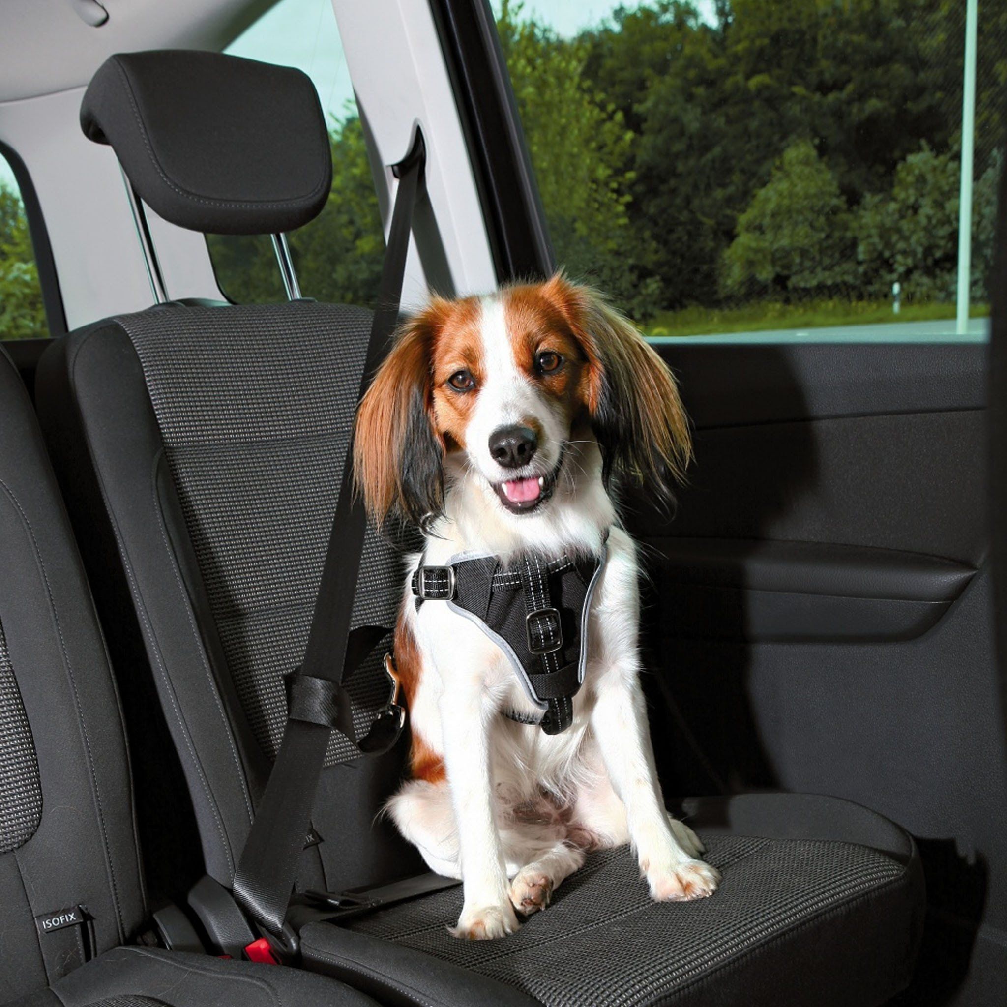 Bilsele för Hund - S/M: 40-55 cm
