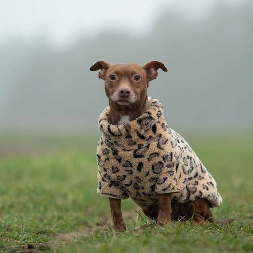 51 Degrees North Turtle Teddy Hundtröja Leopard (44 cm)