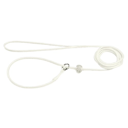 Koppel Utställning Rund Poly. Vit 4mm X 190 cm - Hund - Halsband - Alac - ZOO.se