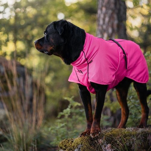 Back on Track Hundnättäcke Limited Edition Rosa (45 cm)