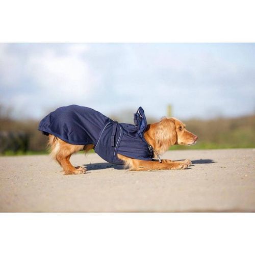 Back on Track Hundnättäcke - Marinblå (25)