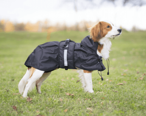 Back on Track Hundregntäcke utan Stoppning (59)