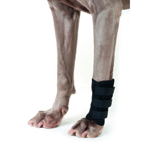 Back on Track Terapeutiska Hundbenskydd (M)