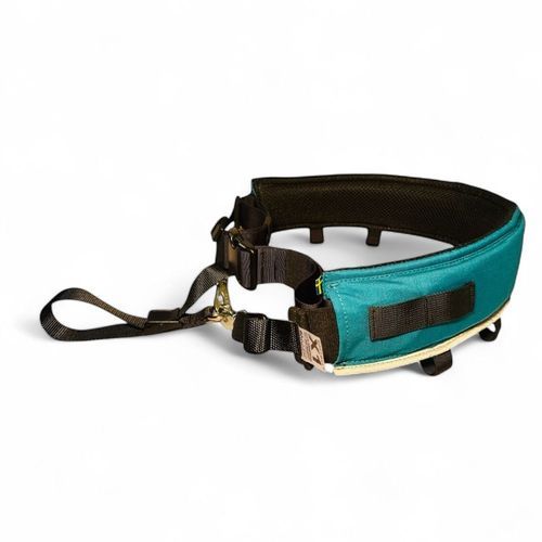 Softbelt Asera till Hund - X1 - Mjuk