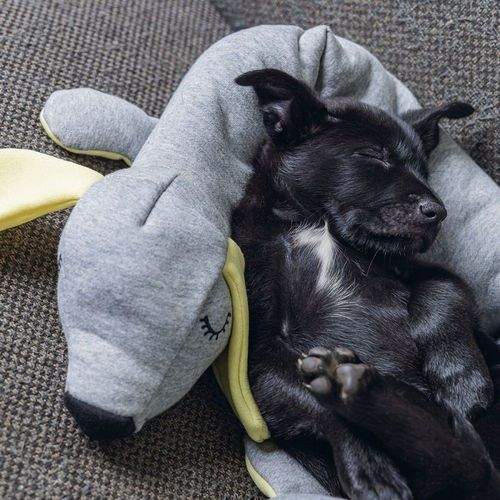 Beeztees Doggy Valpleksak Mysigt Mjukisdjur Grå/Gul