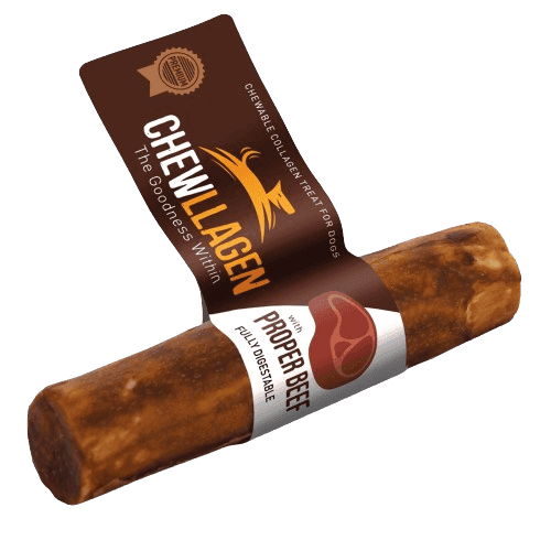 Tuggrulle Nöt 12,5 cm - Hund - Hundgodis - Tuggrullar & Tuggpinnar - Chewllagen - ZOO.se