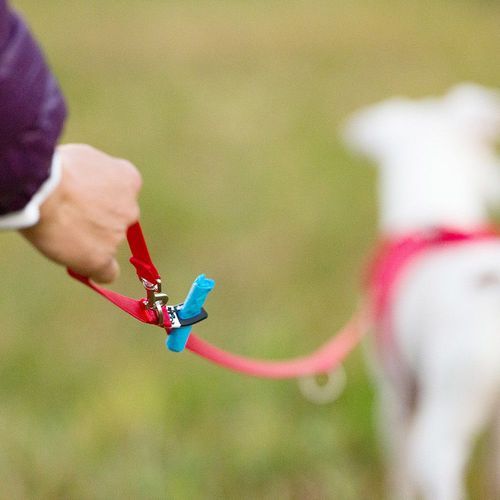 Adjustable Leash Nylon Vävt Justerbart Hundkoppel - Red Medium