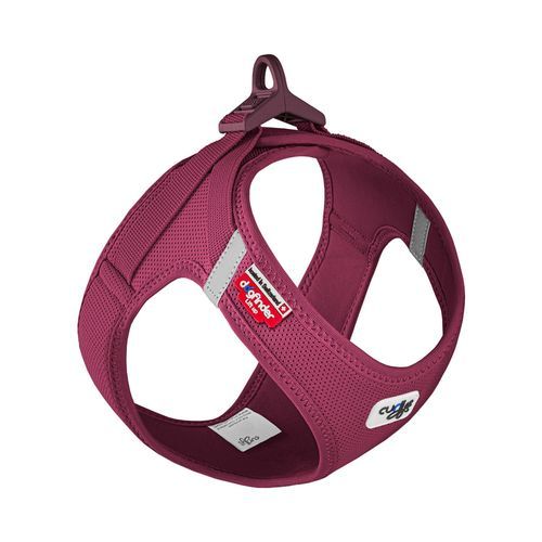 Curli Clasp Step-In Sele Ruby - XXS