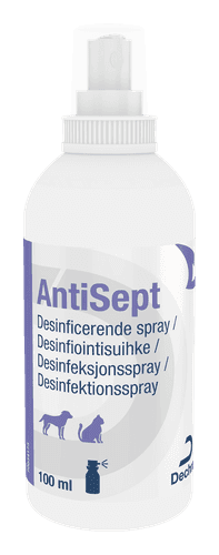 AntiSept - Flaska 100 ml