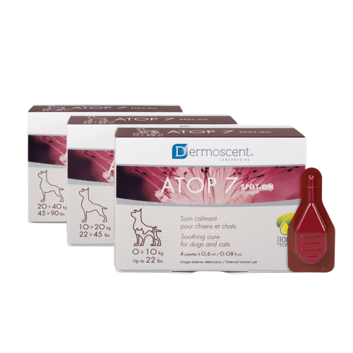 Spot-on Dermoscent ATOP 7 Hund 20-40 kg 4x2,4 ml