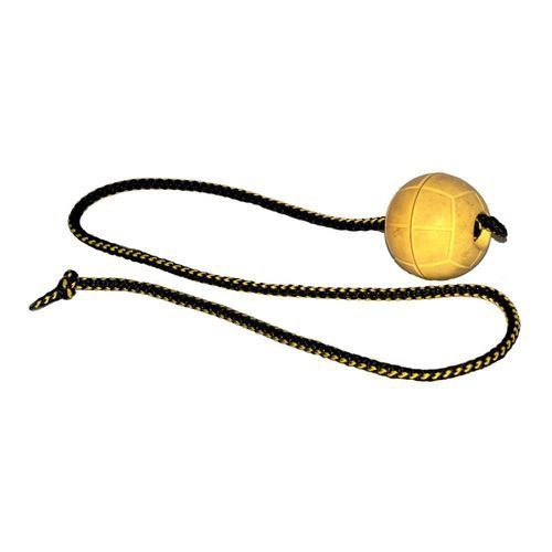 Dingo Gear Hundleksak Boll med Snöre 7 cm - 100 cm