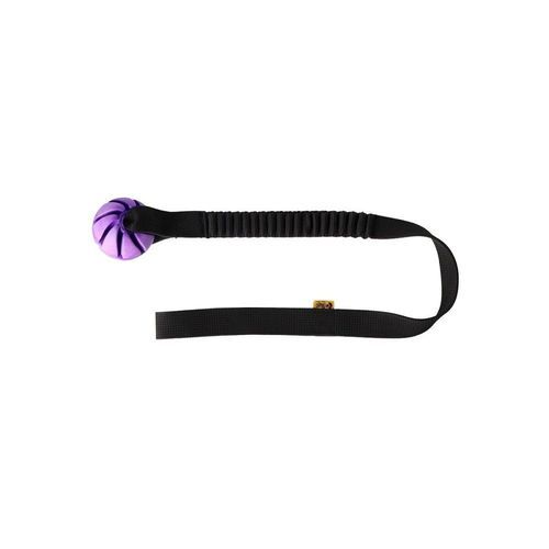 Dingo Bungee Kampleksak med Boll