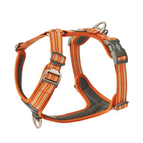 Dog Copenhagen Comfort Walk Air Harness Orange Sun 2024 - XS