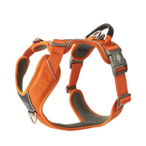 Dog Copenhagen Comfort Walk Pro Harness Orange Sun 2024 - M