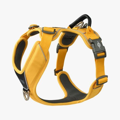 Comfort Walk Pro Hundsele - XL / Lemon