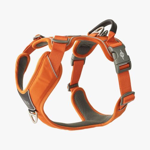 Comfort Walk Pro Hundsele - XS / Orange Sun