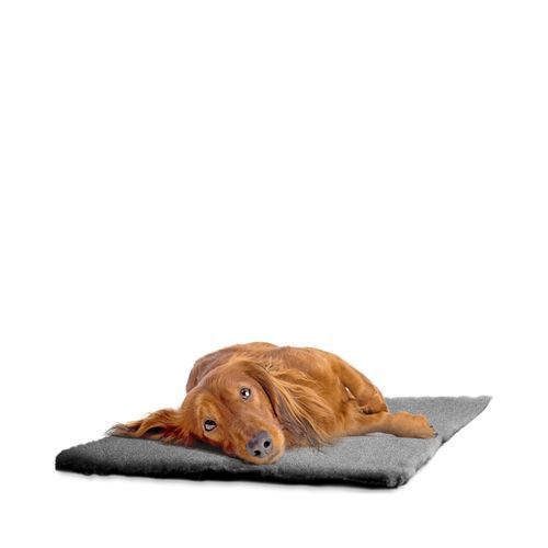 Malva Hundfäll Grå - 100x150 cm