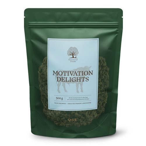 Essential Foods Motivation Delights Träningsgodis Nöt 500 g