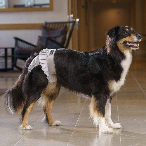 FinNero Ballerina Tikskydd Grå (XXS)