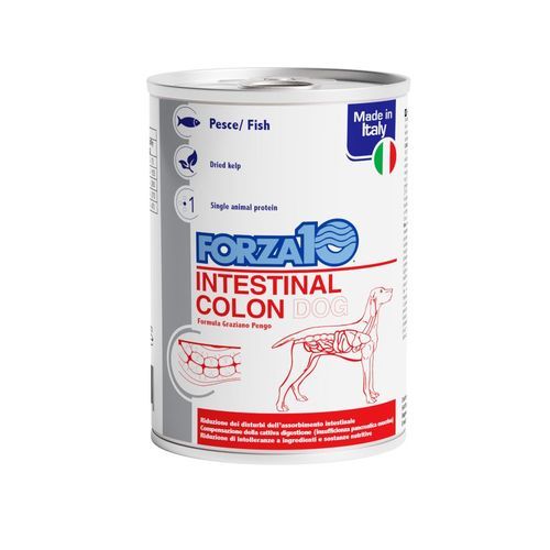 Forza 10 Actiwet Intestinal Colon - 12 x 390 g