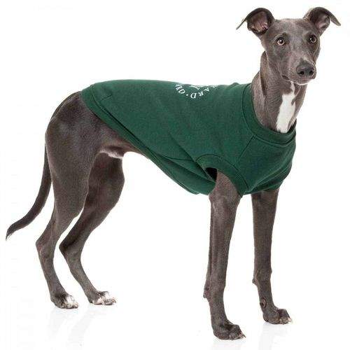 FuzzYard The FY Hundtröja Grön (4)