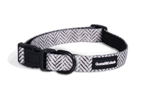 Hundhalsband Modish ställbart M, 20mm x 41-66cm Mönstrad