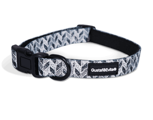Hundhalsband Trendish ställbart S, 20mm x 33-51cm Mönstrad