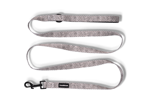 Koppel Modish S/M, 20mm x 180cm Mönstrad