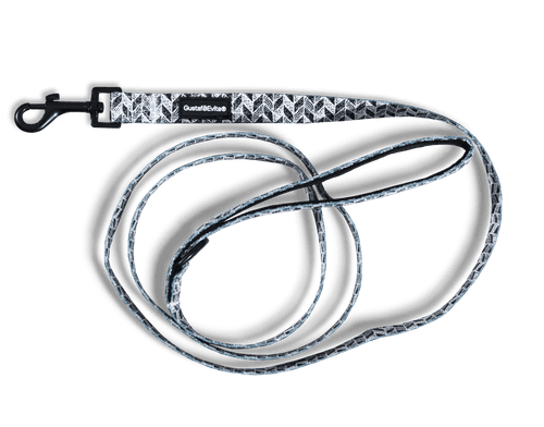 Koppel Trendish XXS/XS, 15mm x 180cm Mönstrad