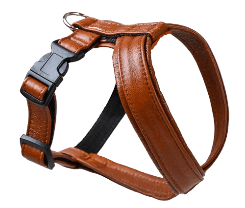 Lädersele Pro Cognac Nr 2