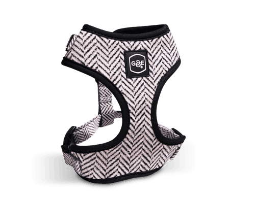 Sele Modish soft XXS, Hals 24-32cm Bröst 28-38cm Mönstrad