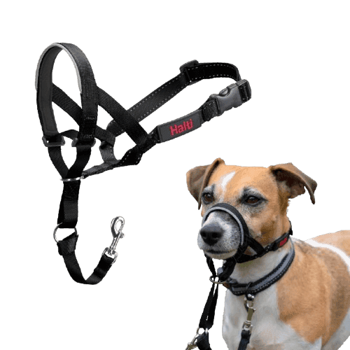 Nosgrimma Nr 1 Hals: 31-40 cm - Hund - Hundträning & Bruksspår - Träningshjälpmedel - Halti - ZOO.se