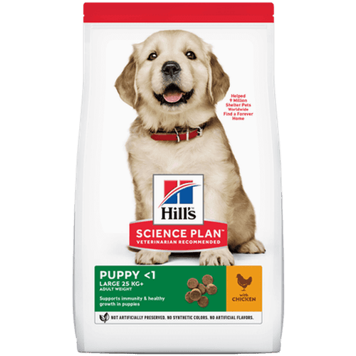 Puppy Healthy Development Large Breed Chicken - Dry Dog Food 14,5 kg