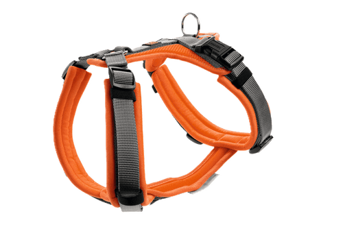 Harness Maldon Up Polyester orange/grey 53-71/M - Hund - Halsband - Hunter - ZOO.se