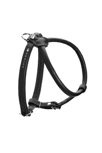 Harness R&S Canadian UP Cowleather Black 32-38/XXS-XS - Hund - Hundbäddar & Dynor - Hundbäddar & hundsängar - Hunter - ZOO.se