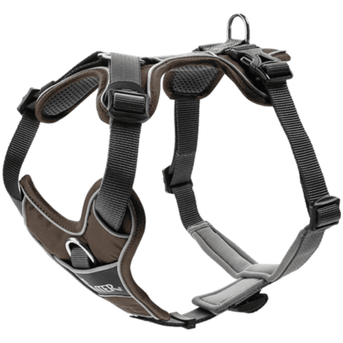 Hundsele Divo Brun/Grå S Bröstmått 45-56cm