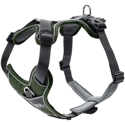 Hundsele Divo Grön/Grå XS Bröstmått 34-47cm