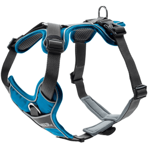 Hundsele Divo Ljusblå/Grå L-XL Bröstmått 79-107cm