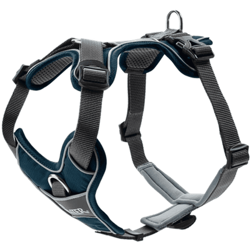Hundsele Divo Mörkblå/Grå S-M Bröstmått 52-68cm