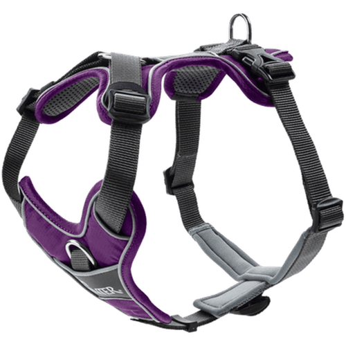 Hundsele Divo Mörkblå/Grå XS Bröstmått 34-47cm