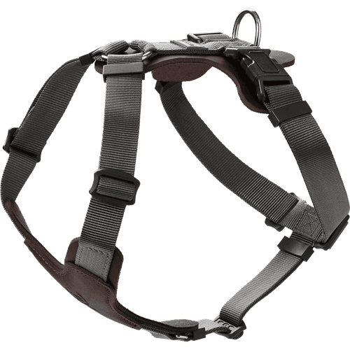 Hundsele Mixed Aalborg Brun M-L Bröstmått 63-96cm