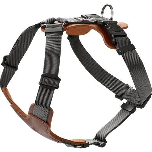 Hundsele Mixed Aalborg Cognac XS-S Bröstmått 38-51cm