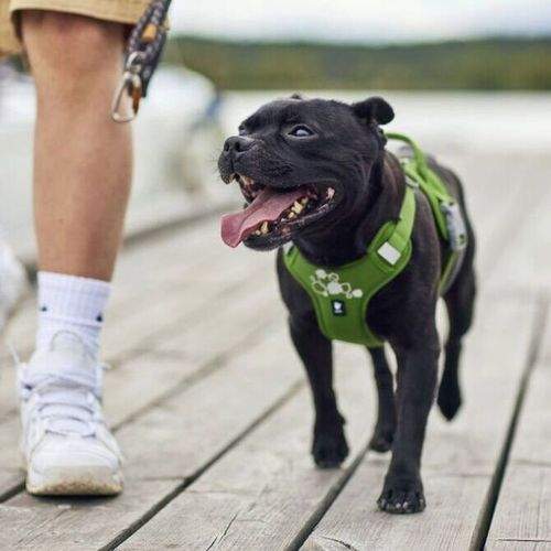 Hurtta Weekend Warrior II ECO Hundsele Grön (40-50)