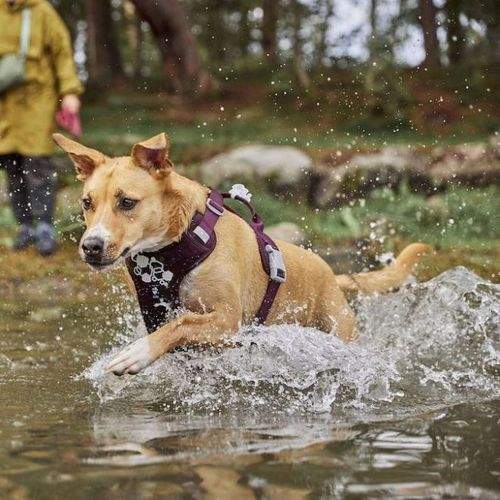 Hurtta Weekend Warrior II ECO Hundsele Lila (65-80)