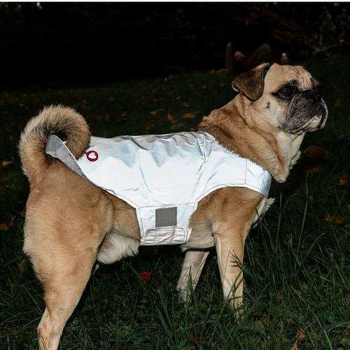 Icepeak Brightly Reflexväst VetZoo (M)