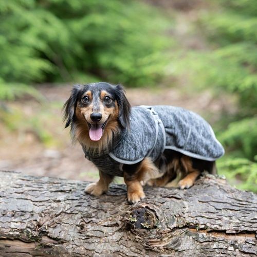 Icepeak Flen Midlayer Hundjacka Svart (S)